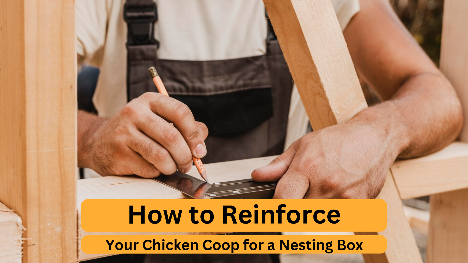 How to Reinforce Your Chicken Coop for a Chicken Nesting Box Nesty Boxes