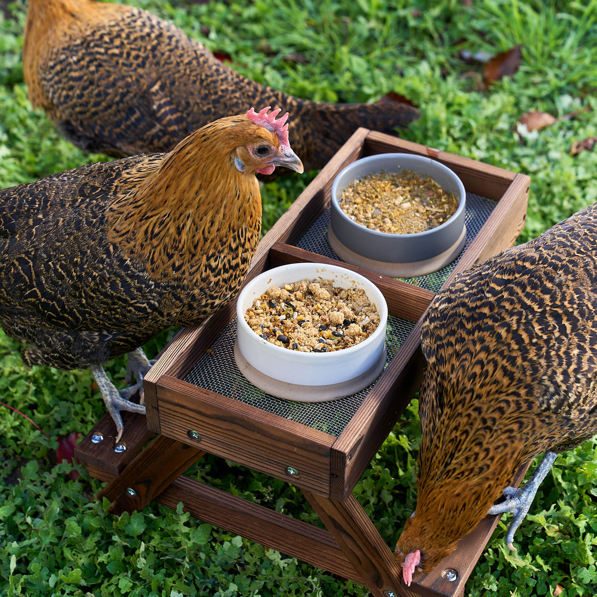 Chicknic Table