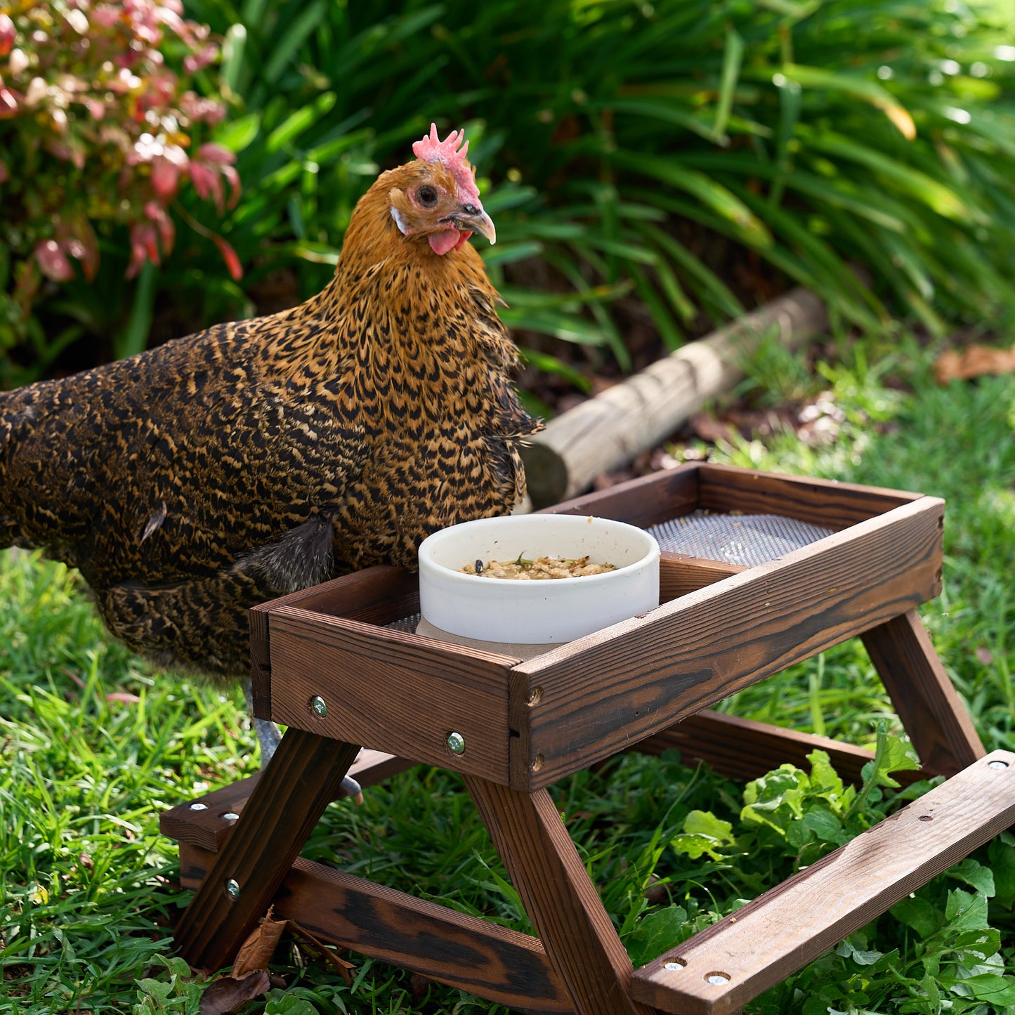 Chicknic Table + Mini Mash Bundle