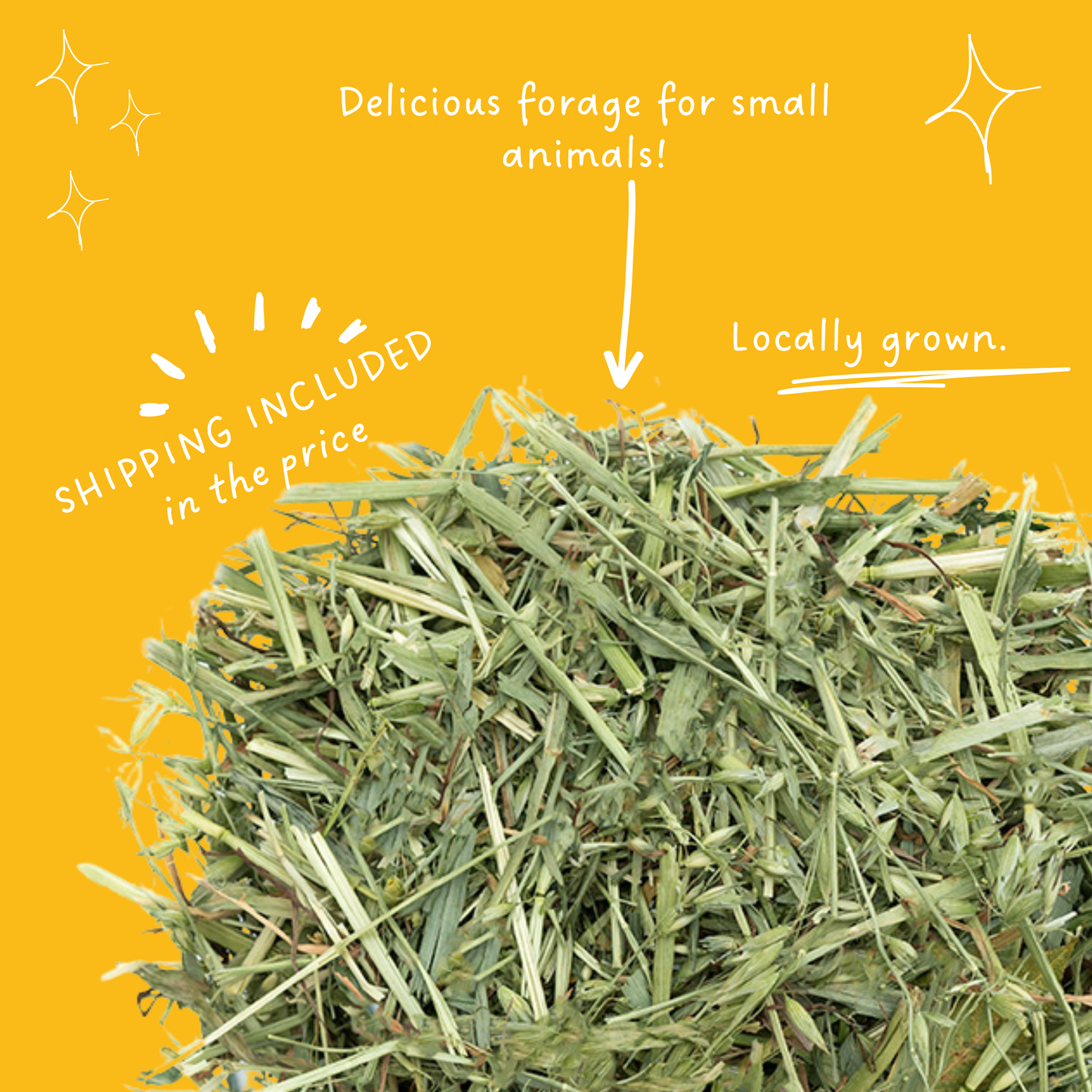 Oaten Hay for Guinea Pigs & Rabbits 1kg