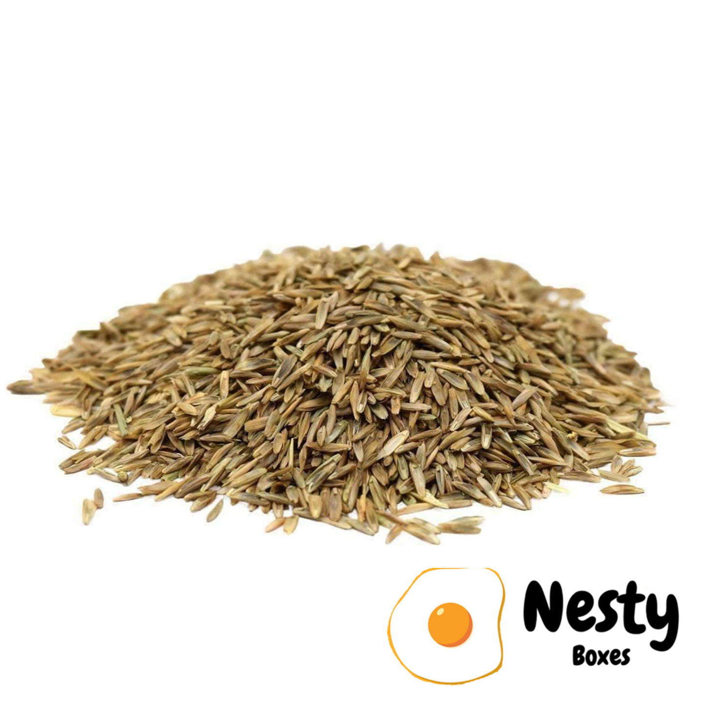 Nesty Chicken Ryegrass Sowing Seeds