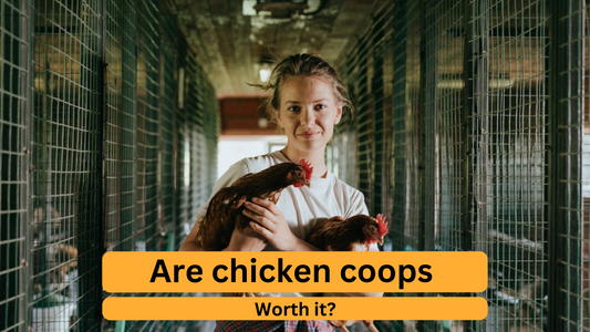 Are chicken coops worth it?