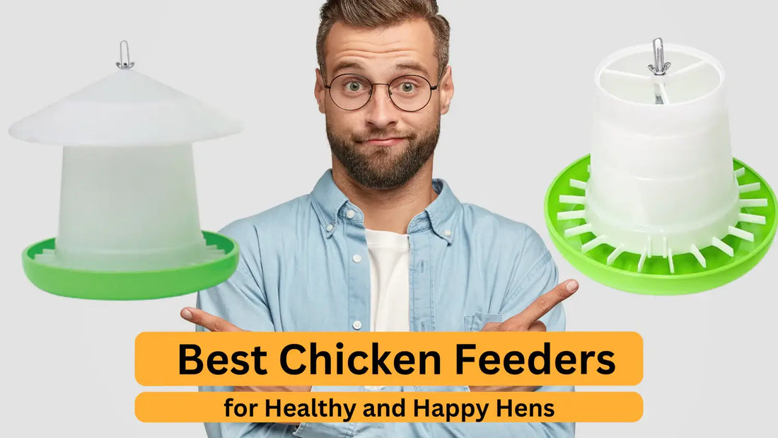 The Best Chicken Feeders for Healthy and Happy Hens