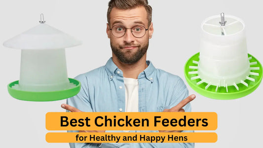 The Best Chicken Feeders for Healthy and Happy Hens