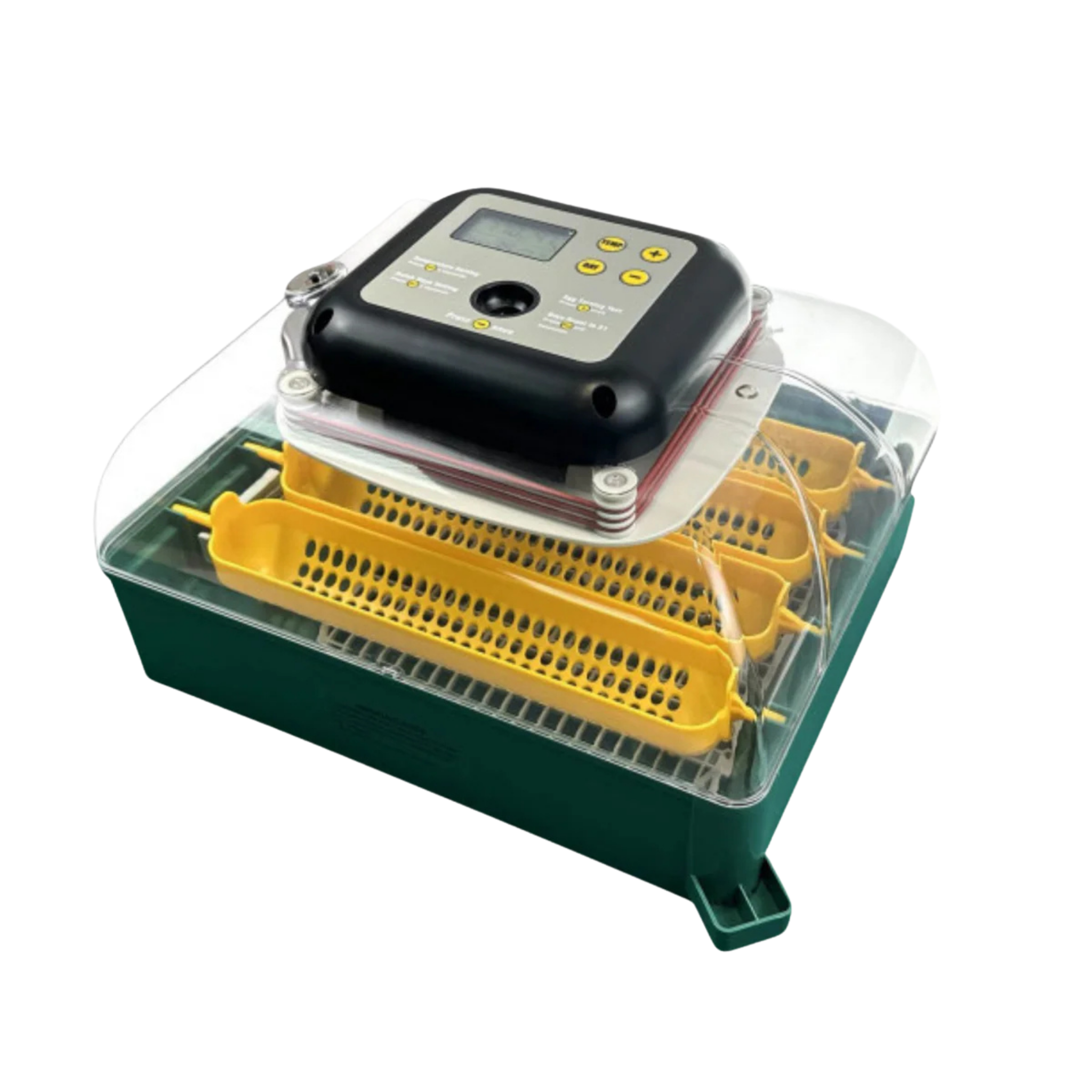 Buy Chicken Incubators For Reliable Egg Hatching | Nesty Boxes
