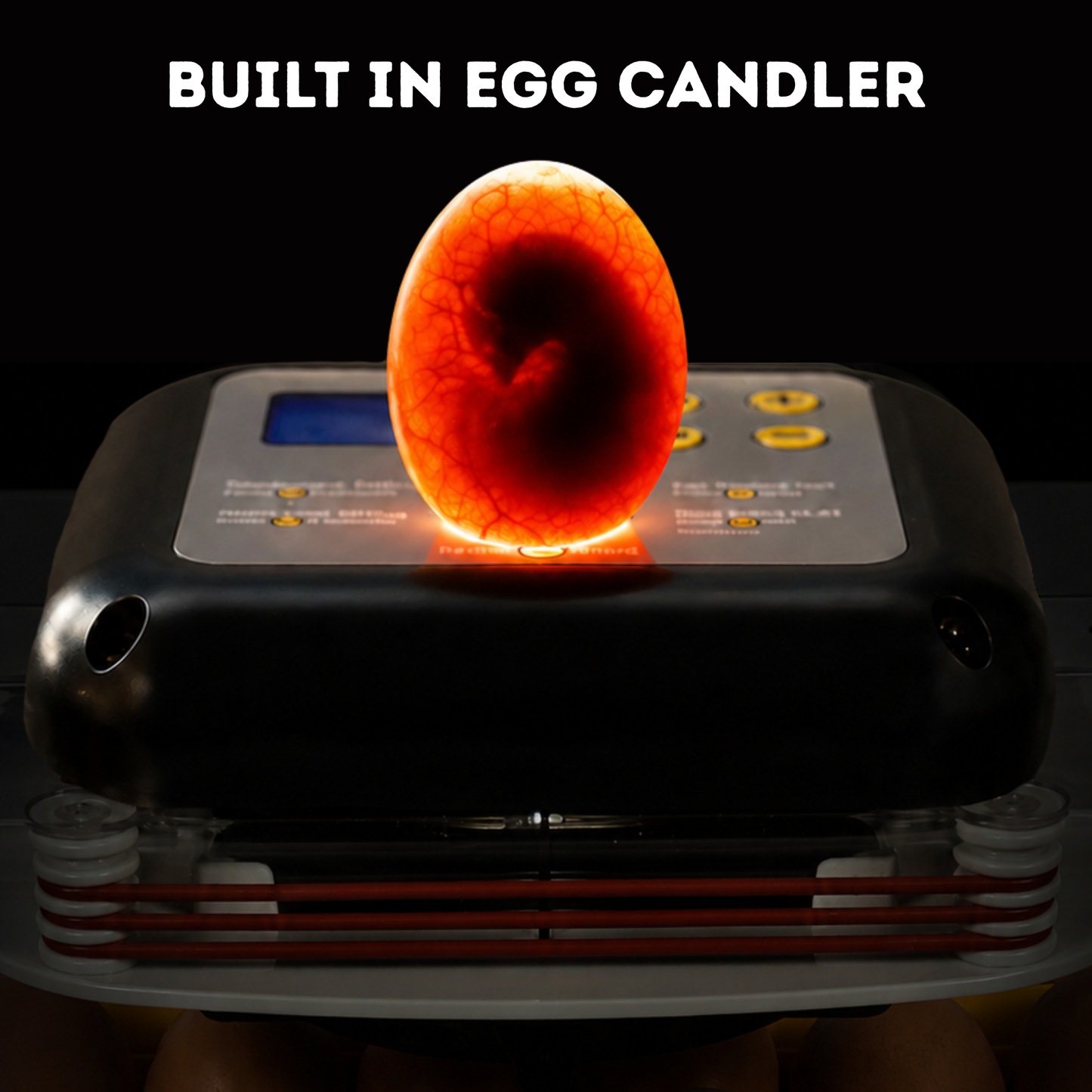 24 Egg Incubator for Chicken Eggs with Automatic Egg Turning