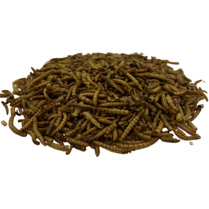 Nesty Dried Mealworms