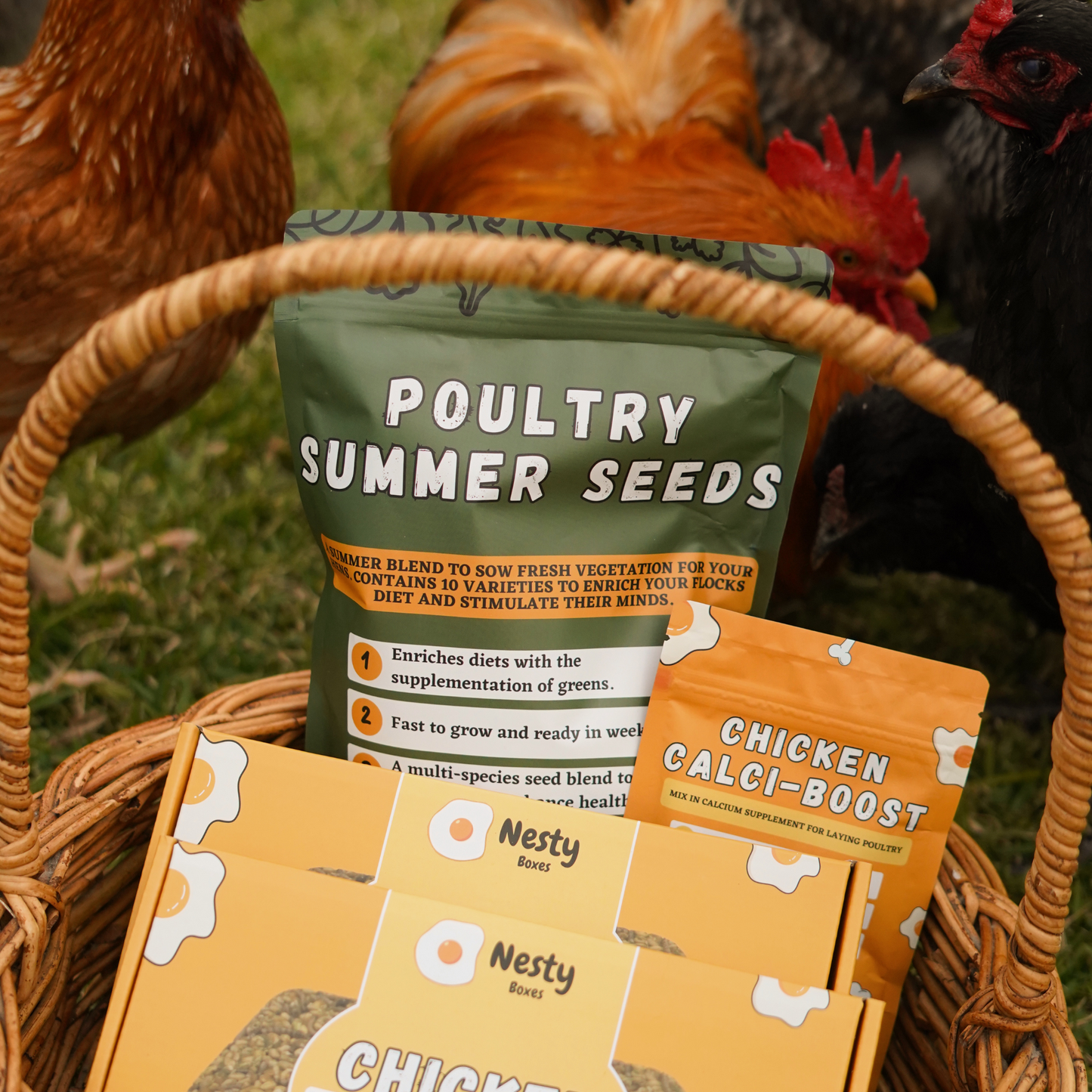 Nesty Poultry Summer Seeds Forage Mix