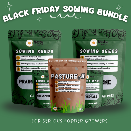 Black Friday Sowing Seeds Bundle