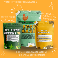 Chick Enrichment Bundle