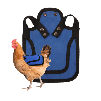 Nesty Blue Chicken Saddle