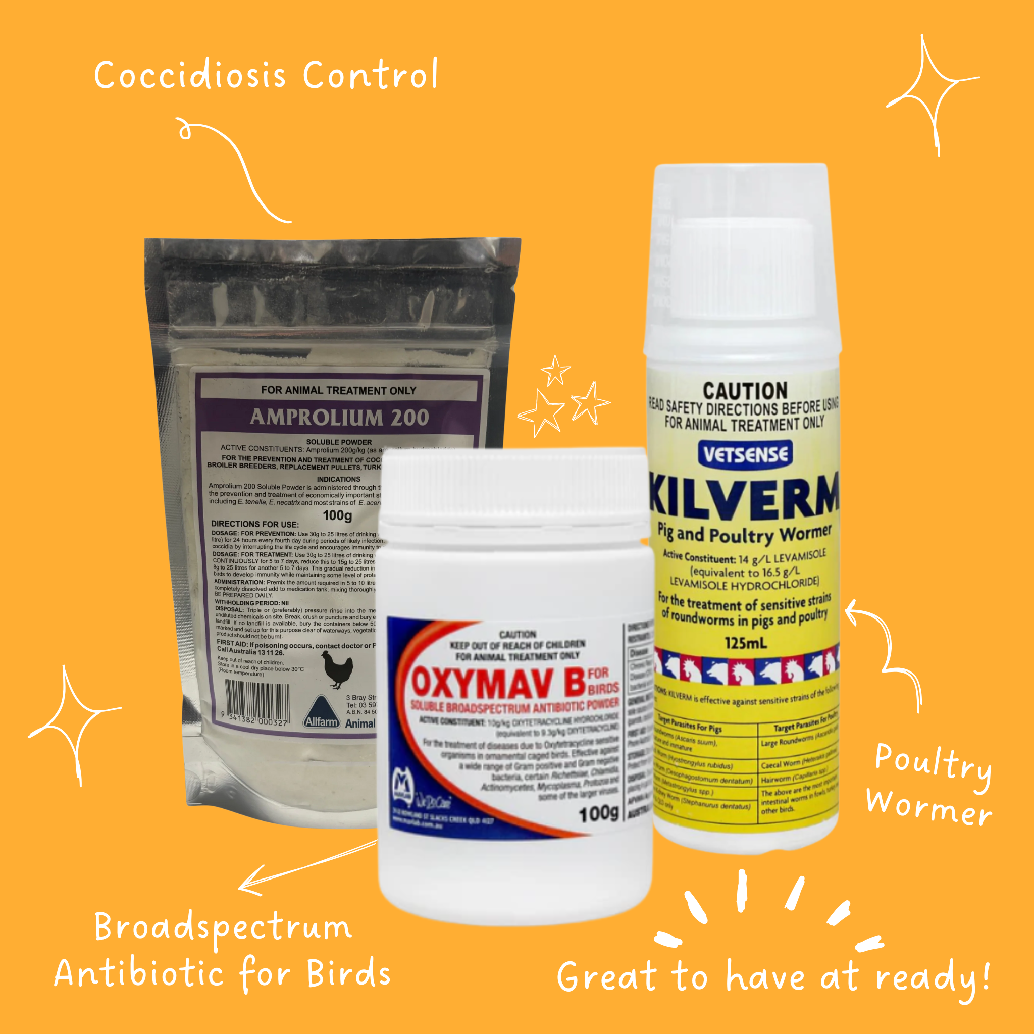 Black Friday Chicken Starter Kit