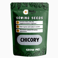 Nesty Chicken Chicory Sowing Seeds