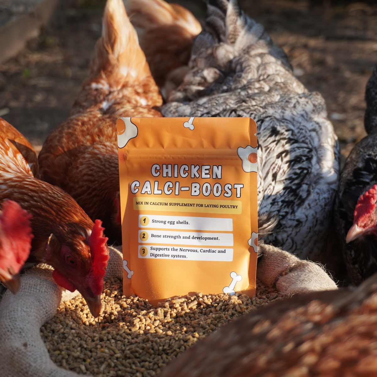 Nesty Chicken Calci-Boost | Strong Eggshell Calcium Supplement – Nesty ...