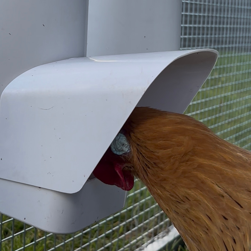 Grows With Your Flock