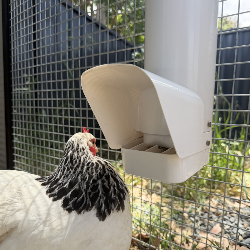 Less Feed, Less Waste