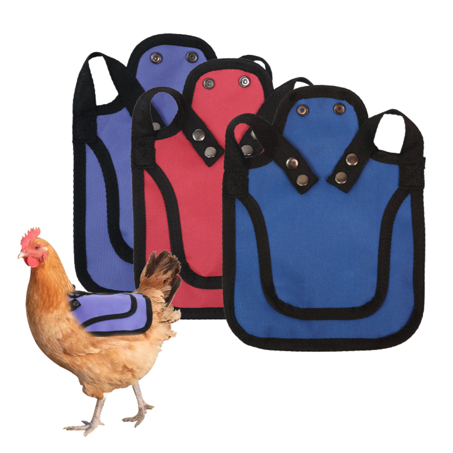 Nesty Red Chicken Saddle