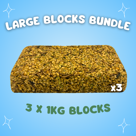 Large Chicken Block Bundle