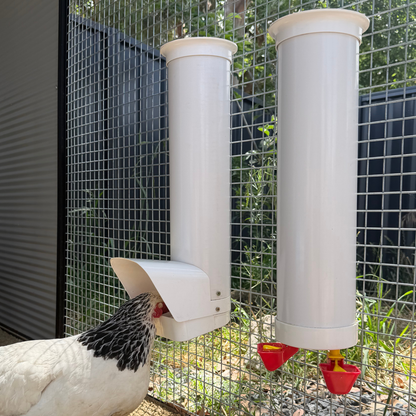 Chicken Feeder & Drinker Bundle