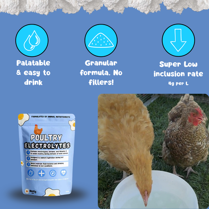 Chicken Electrolytes