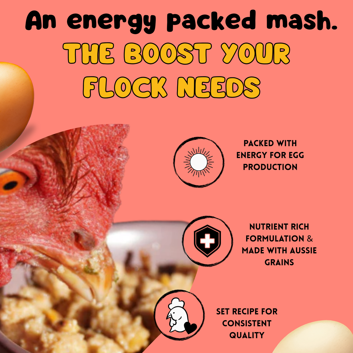 Poultry Energy Mash for Active, Healthy Chickens | NestyBoxes – Nesty Boxes