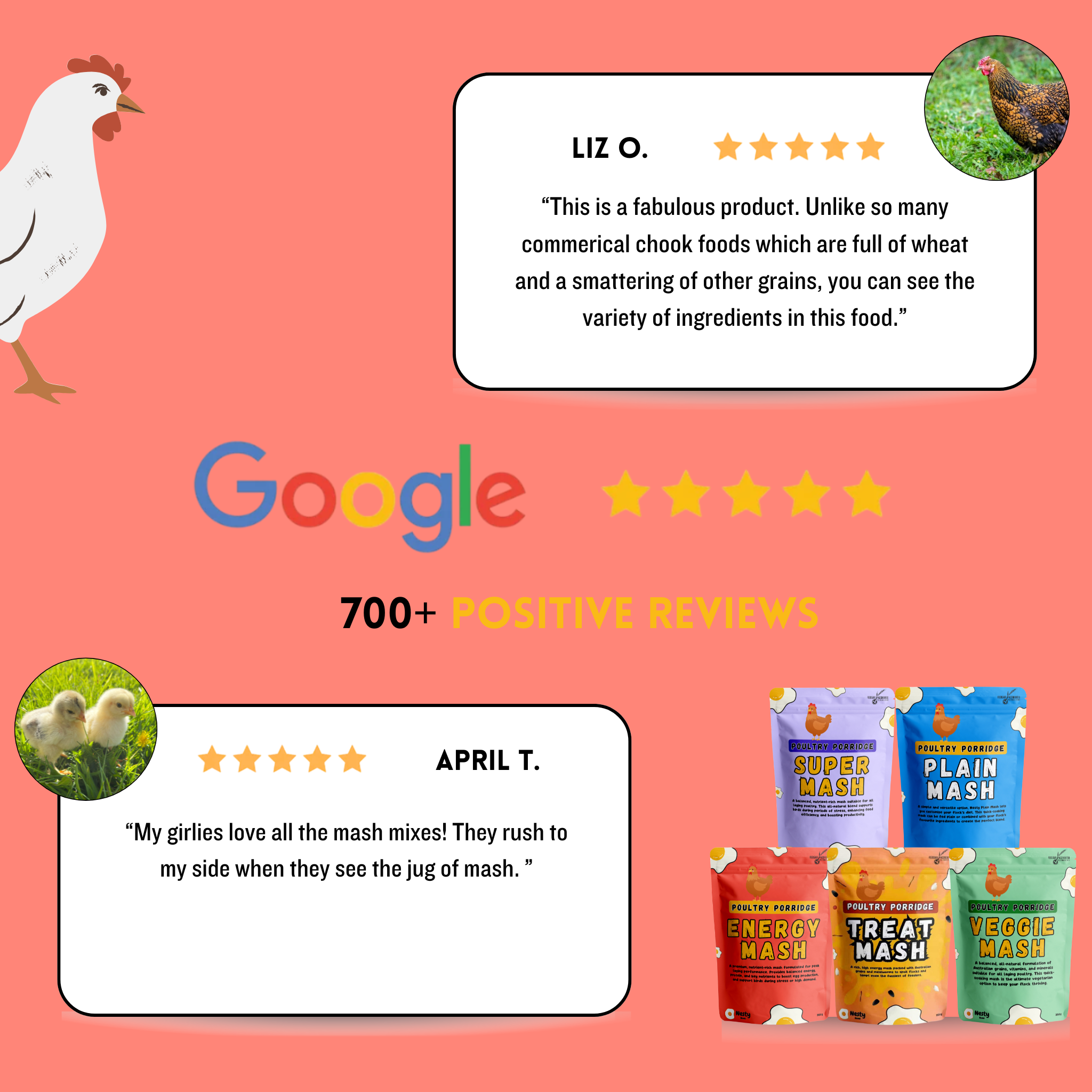 Nesty Poultry Energy Mash