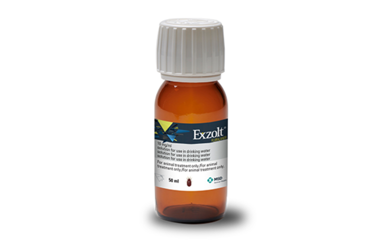 Exzolt Red Mite Treatment 50ml | Nesty Boxes