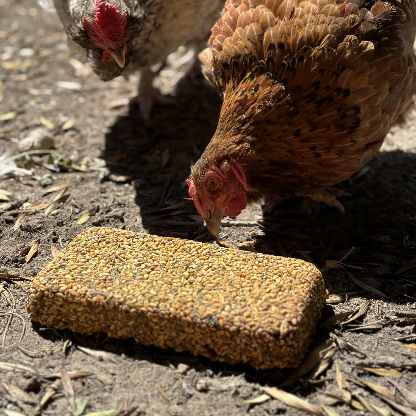 Chicken Feed Block