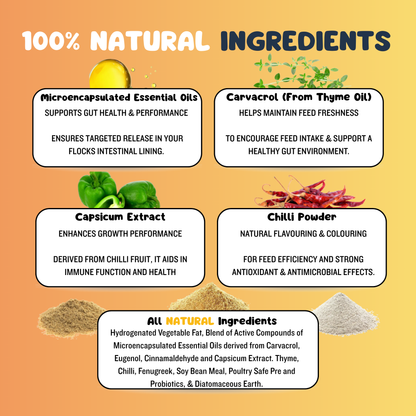 Healthy Hen Gut-Guard