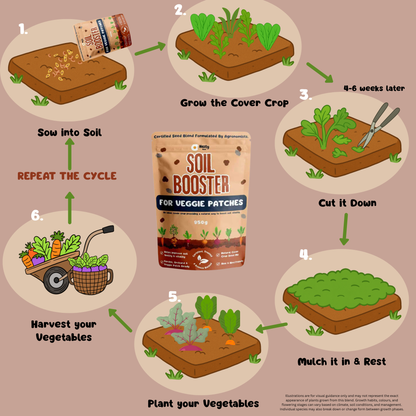 Soil Booster - Veggie Garden Cover Crop 950g