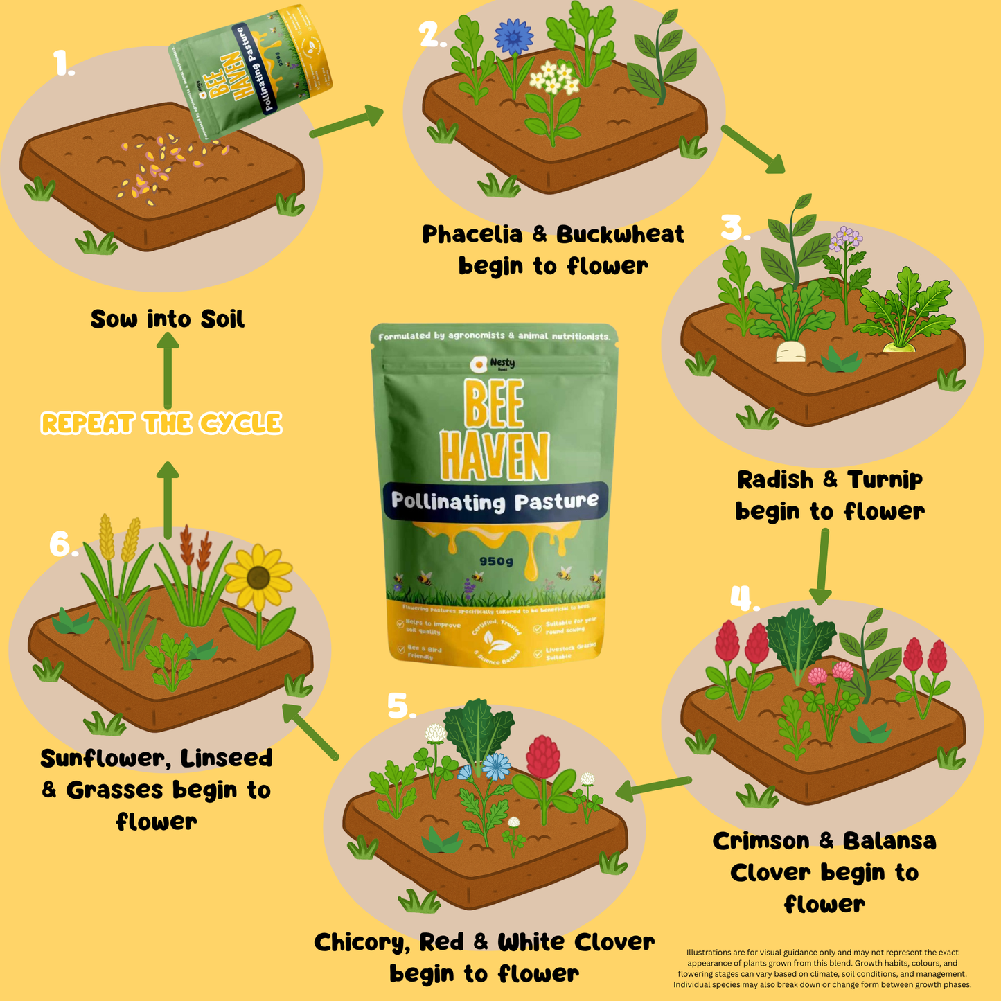 Bee Haven Pollinating Pasture Blend 950g