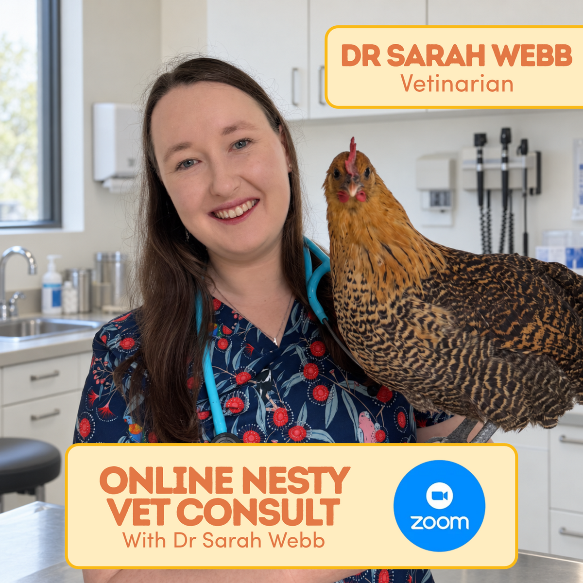 Vet Consult with Dr Sarah Webb