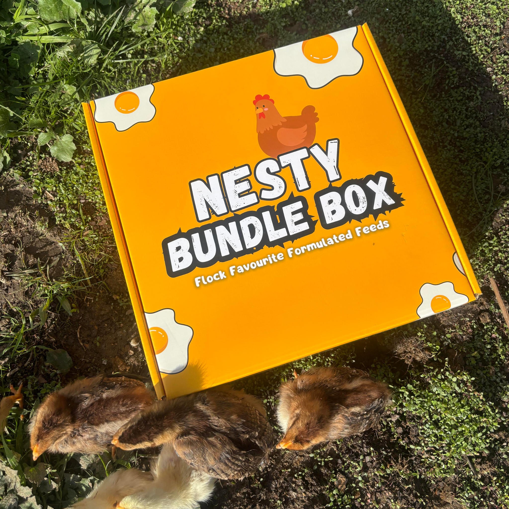 Nesty Everything Box for Chickens | 13 Feed Packs – Nesty Boxes