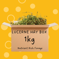 Lucerne Hay for Guinea Pigs & Rabbits 1kg