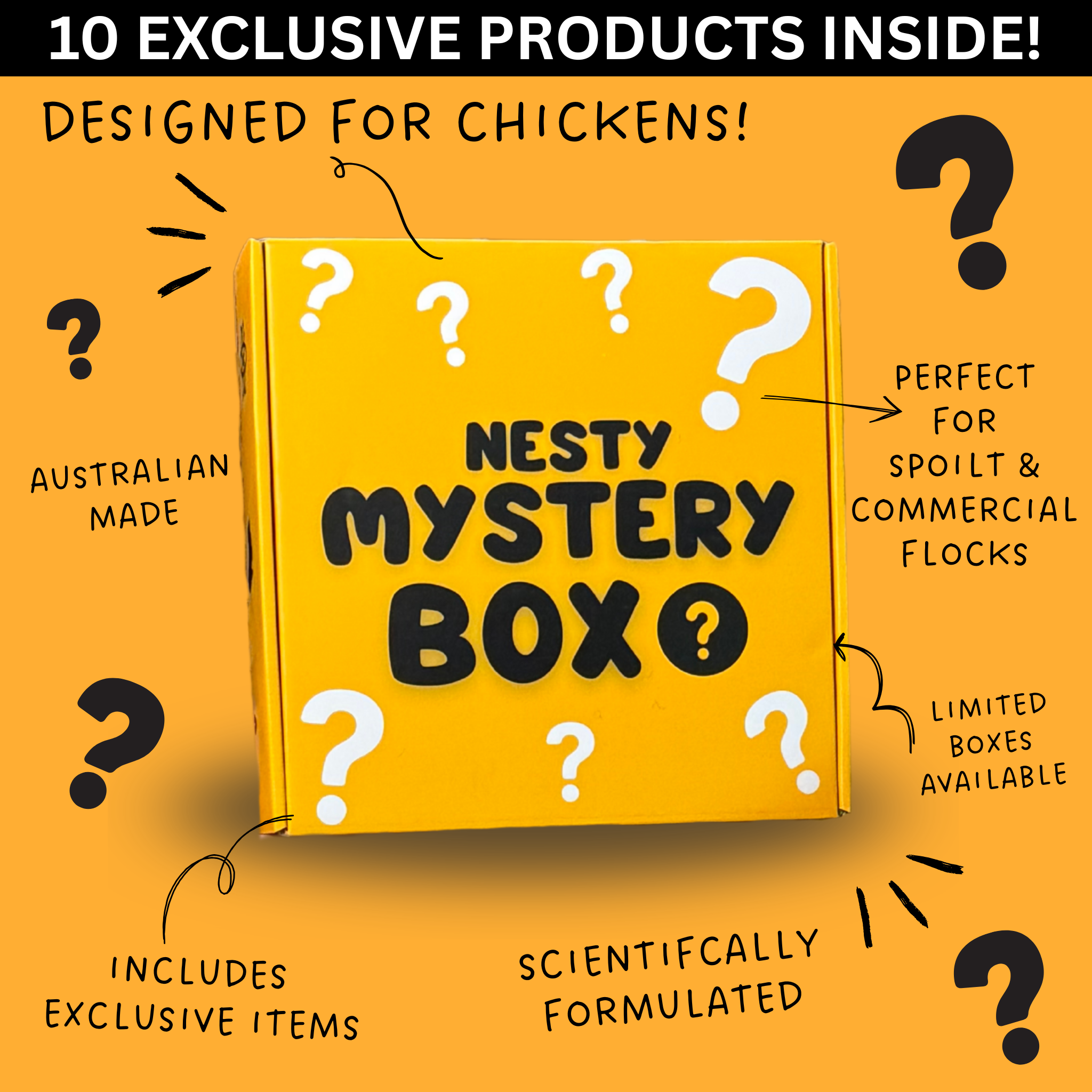 Nesty Mystery Box - For Chickens