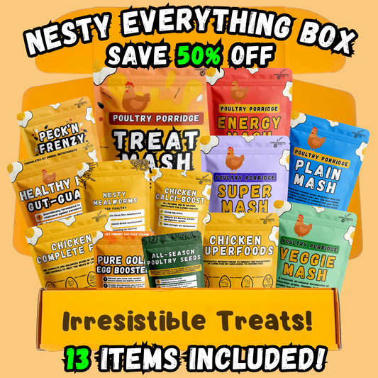Nesty Everything Bundle Box