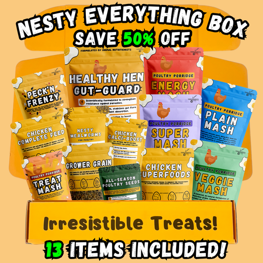 Nesty Everything Bundle Box