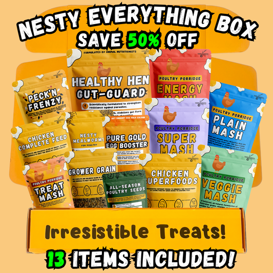 Nesty Everything Bundle Box