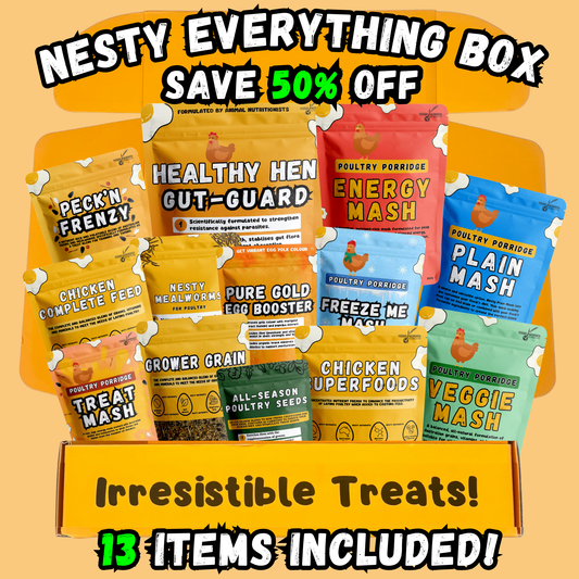 Nesty Everything Bundle Box