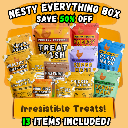 Nesty Everything Bundle Box
