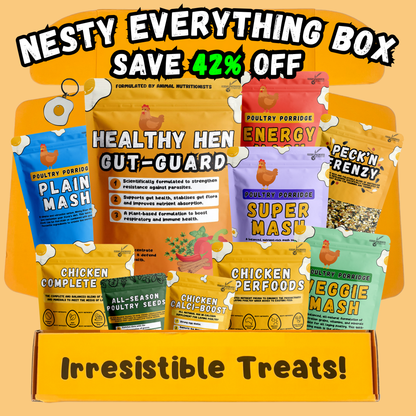 Nesty Everything Box