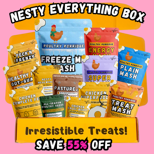 Nesty Everything Box