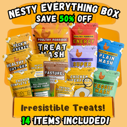 Nesty Everything Box