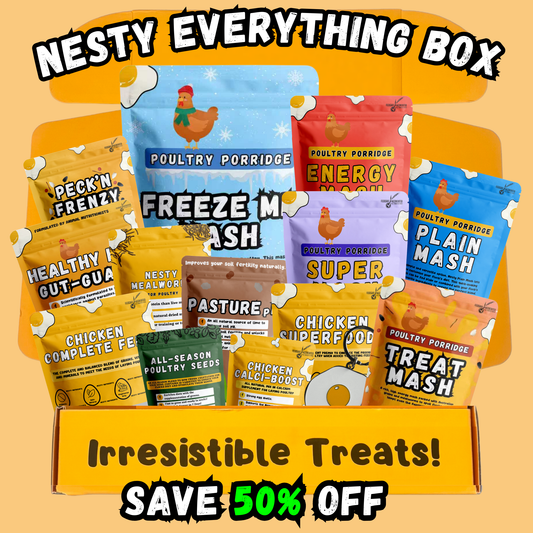 Nesty Everything Box