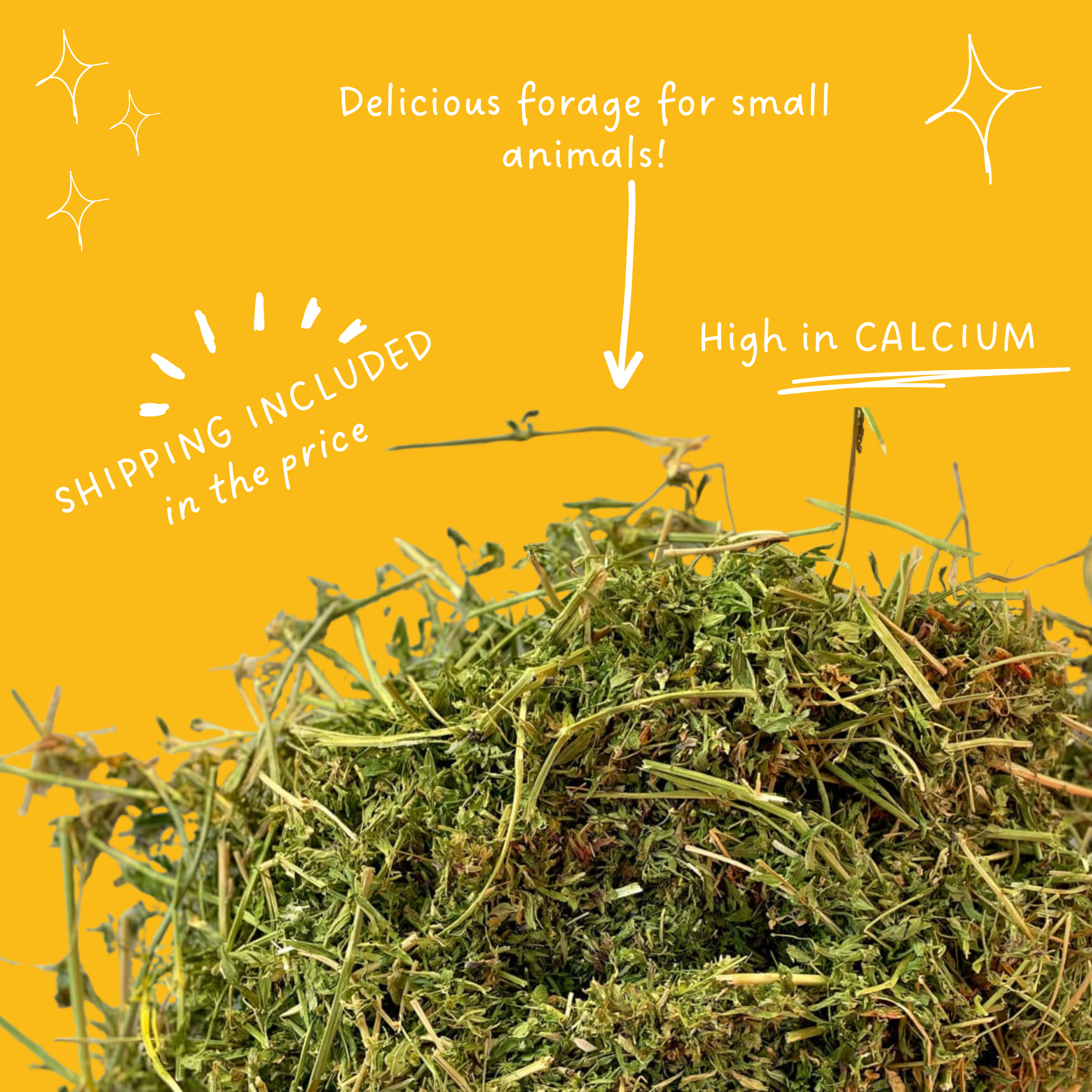 Lucerne Hay for Guinea Pigs & Rabbits 1kg