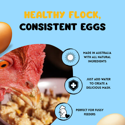 Poultry Plain Mash