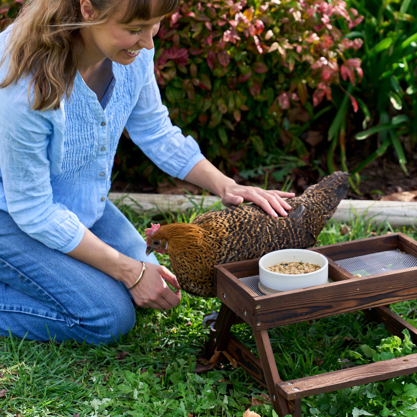 Chicknic Table + Enrichment Feeds PRE-ORDER
