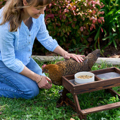 Chicknic Table + Enrichment Feeds PRE-ORDER