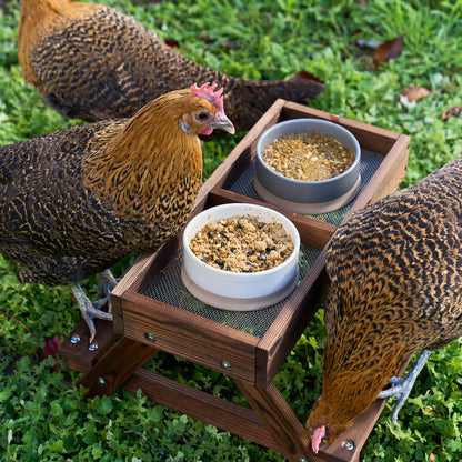 Chicknic Table + Enrichment Feeds PRE-ORDER