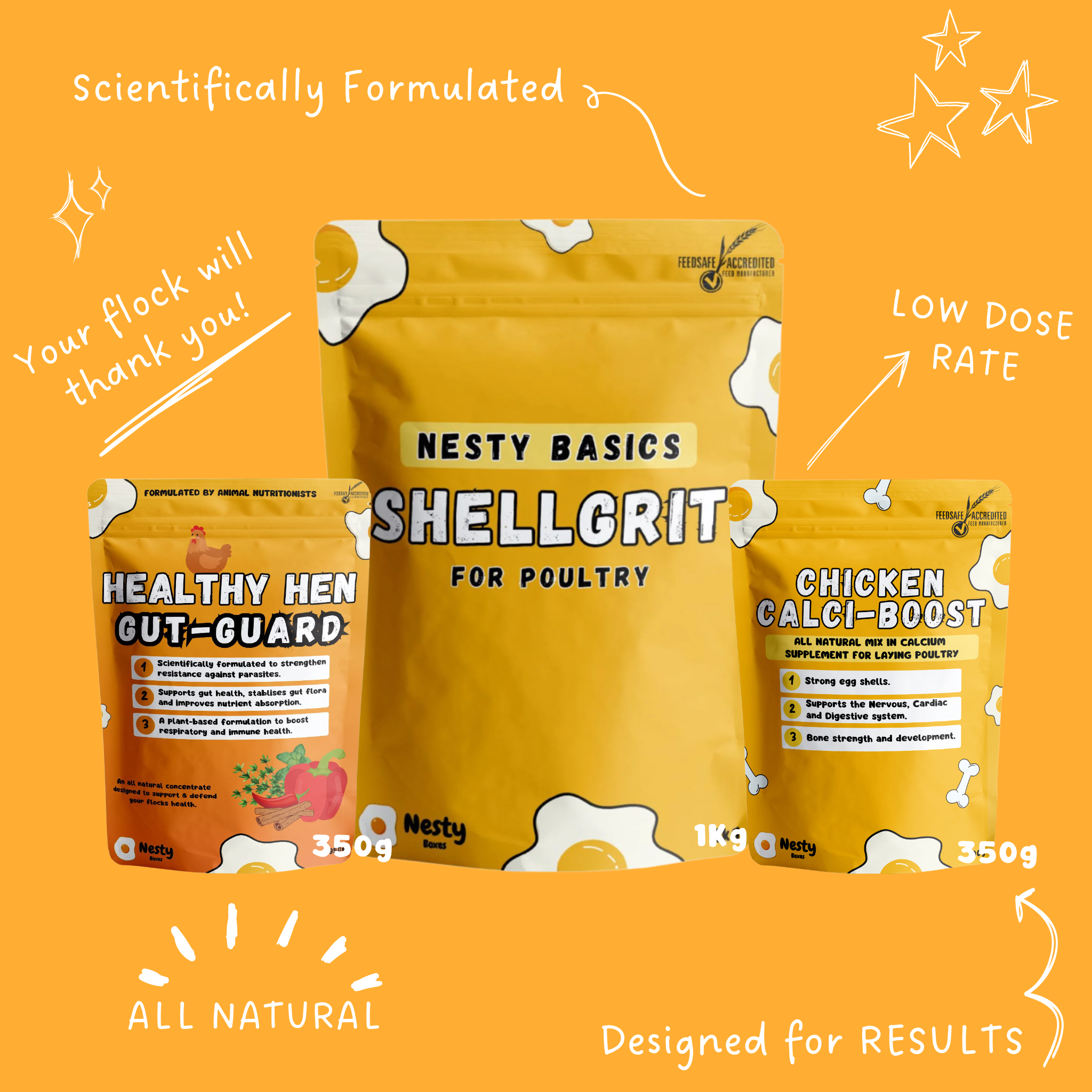 Black Friday Chicken Starter Kit